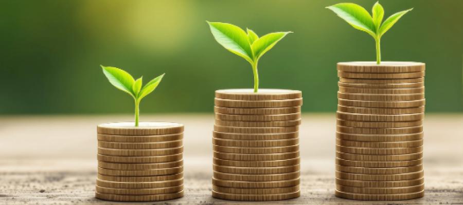 Three stacks of coins with plants leaves sprouting from the tops